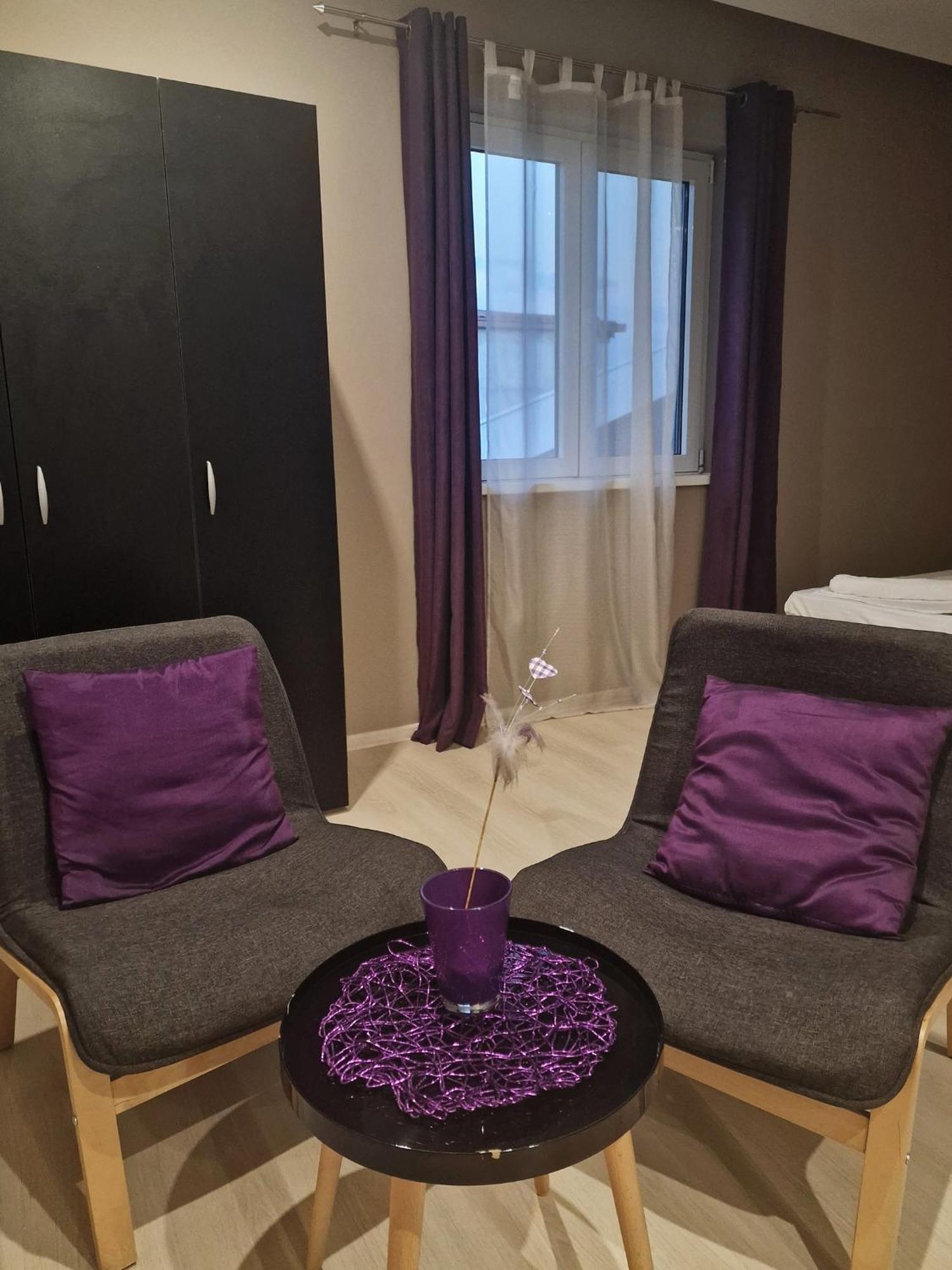Guest house Vilin Nis